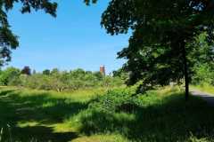 Blick-auf-den-Wasserturm-Hermannswerder