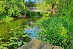 Brücke-über-den-Jakobsgraben