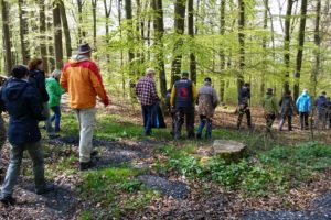 Gemeinsam unterwegs zum 28. Alzheimer-Tag Brandenburg - Bewegung, Begegnung & Natur erleben @ Bahnhof Potsdam Rehbrücke, Potsdamer Seite an der Litfaßsäule