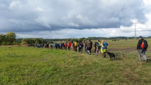 24 h Potsdam-Havelland - geführte Wanderungen 100 km, 50 km und 25 km @ Schloß Caputh / Schwielowsee