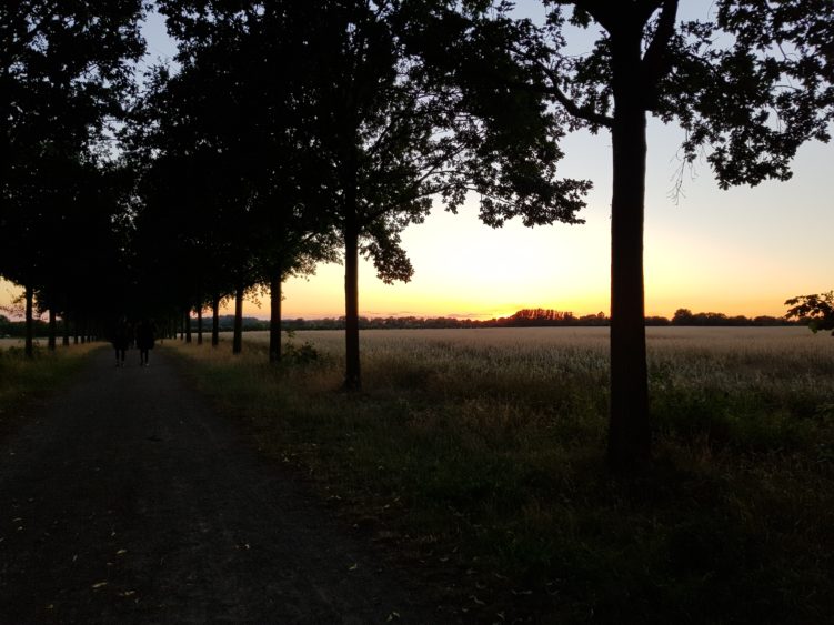 Sonnenuntergang in der Bornimer Feldflur