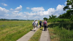 Frisch auf ins weite Feld - Von Golm zum Schloß Marquardt @ Potsdam Bahnhof Golm