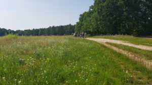 Konditionswanderung durch die Parforceheide @ S-Bahnhof Griebnitzsee