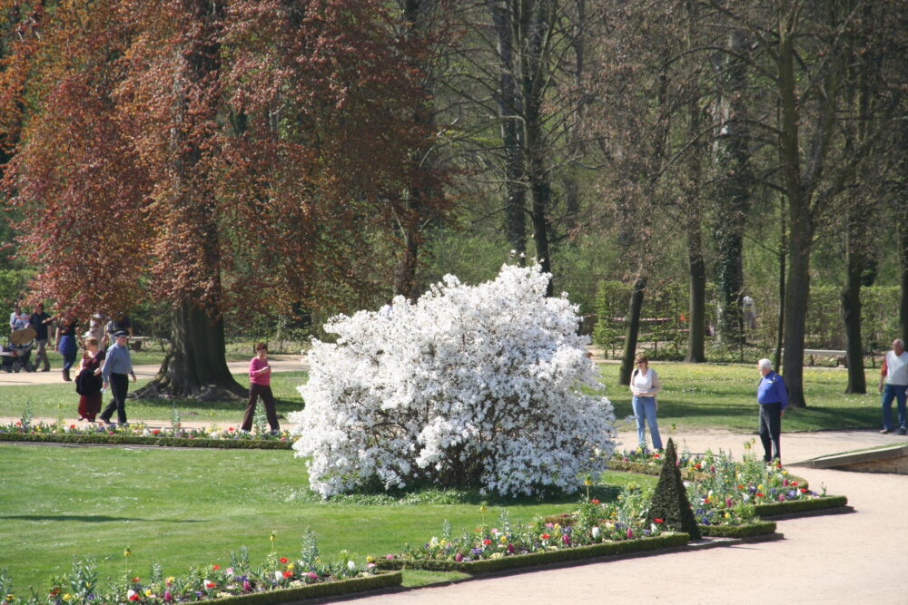 Park Sanssouci