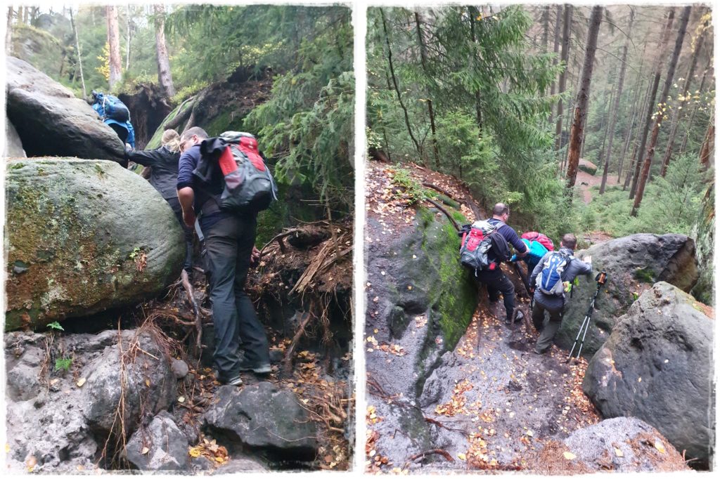Bergpfad Sächsische Schweiz