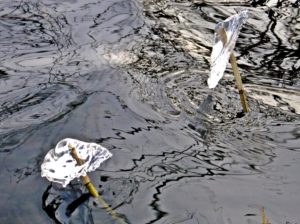 Wanderung in Potsdam - Um den Templiner See