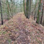 Wanderweg auf dem Wall der AVUS Südkehre