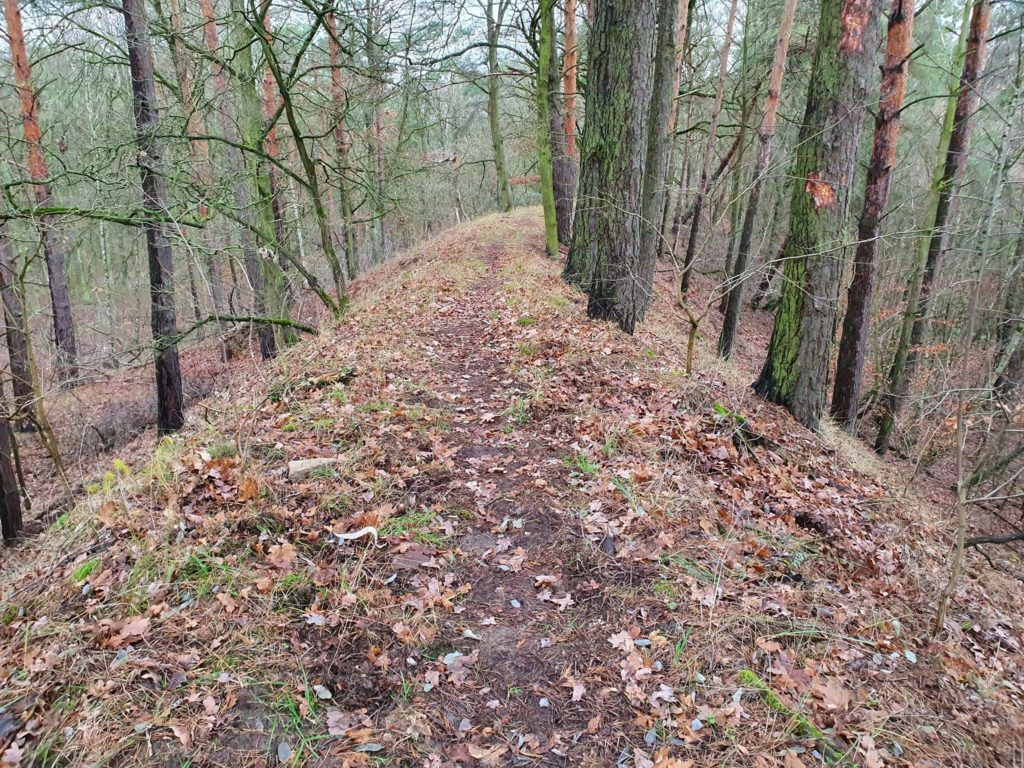 Wanderweg auf dem Wall der AVUS Südkehre