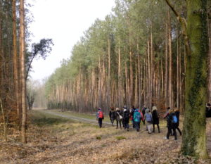 Konditionswanderung in Potsdam - Durch den Wildpark und das Golmer Luch @ Potsdam Bahnhof Pirschheide