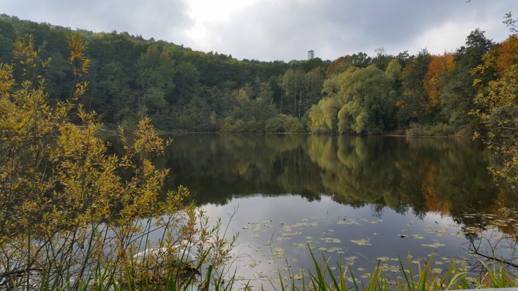 Blick auf den Müggelturm