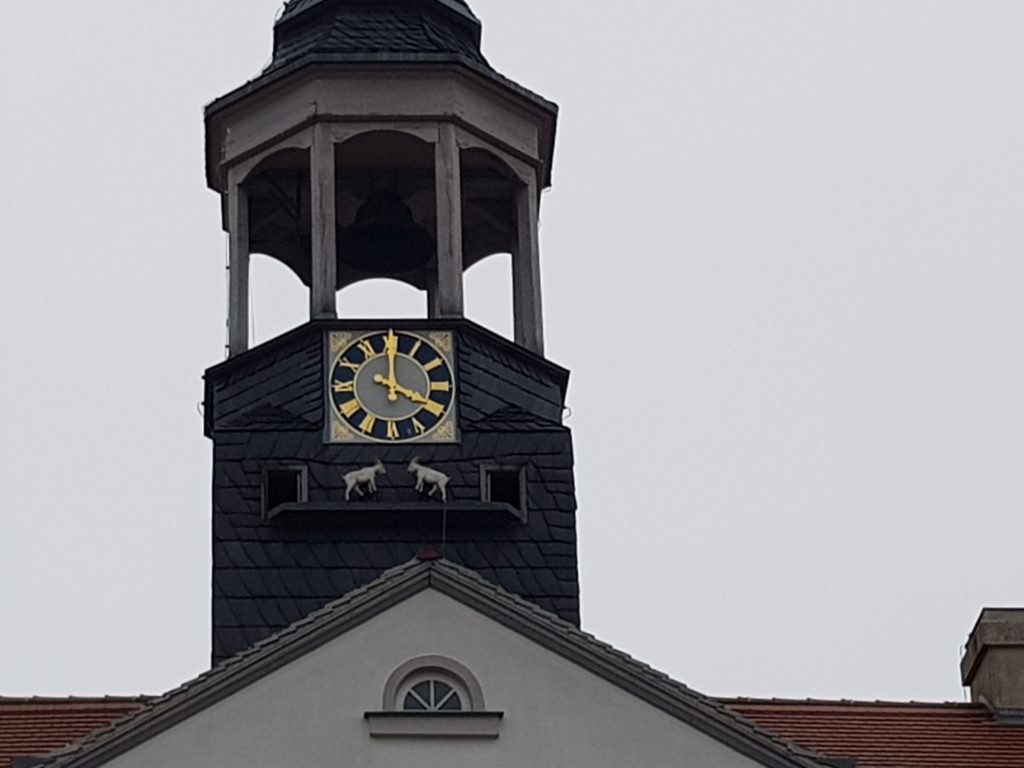 Ziegenböcke am Rathaus Bad Düben