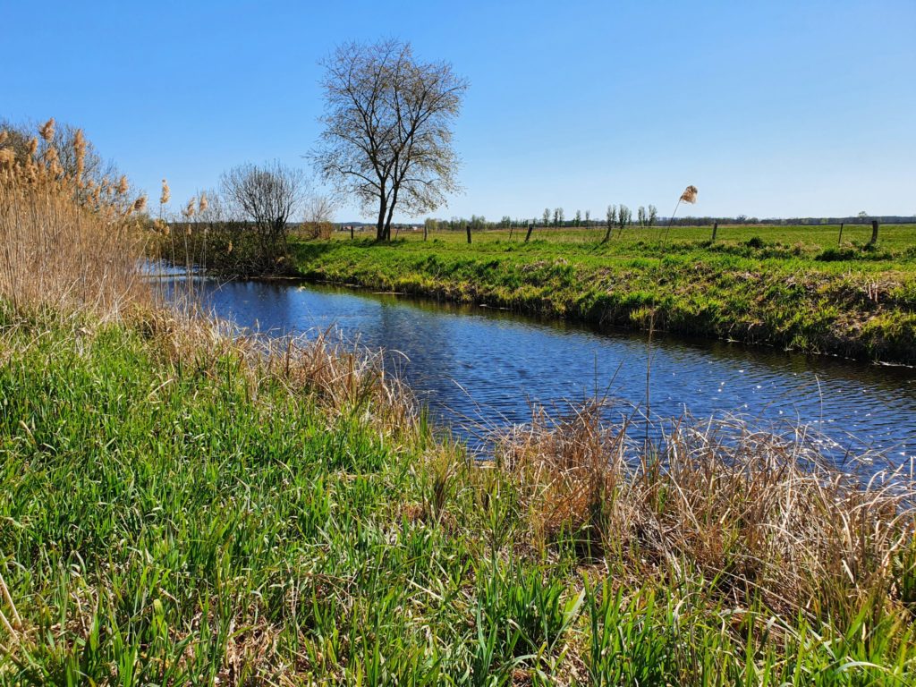 Flußlandschaft an der Nuthe bei Saarmund