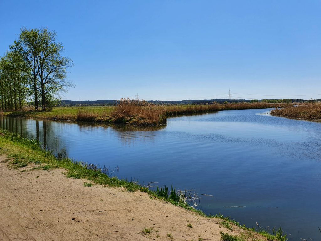 Mündung der Nieplitz in die Nuthe