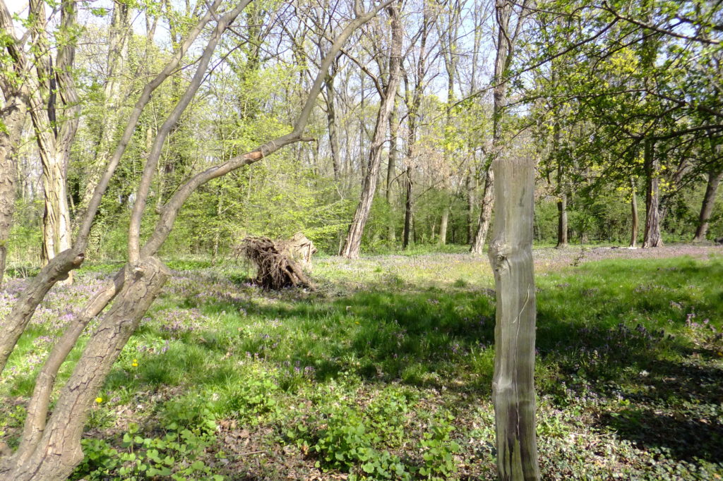 Im Nuthepark Potsdam