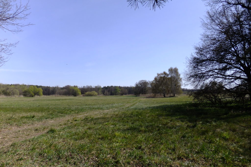 Nuthewiesen