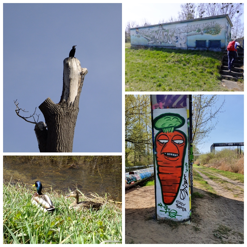 Impressionen an der Nuthe zwischen Potsdam und Saarmund