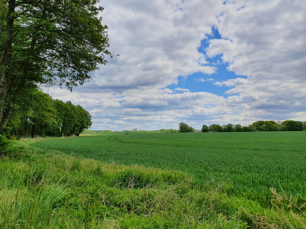 Blick auf Jüterbog