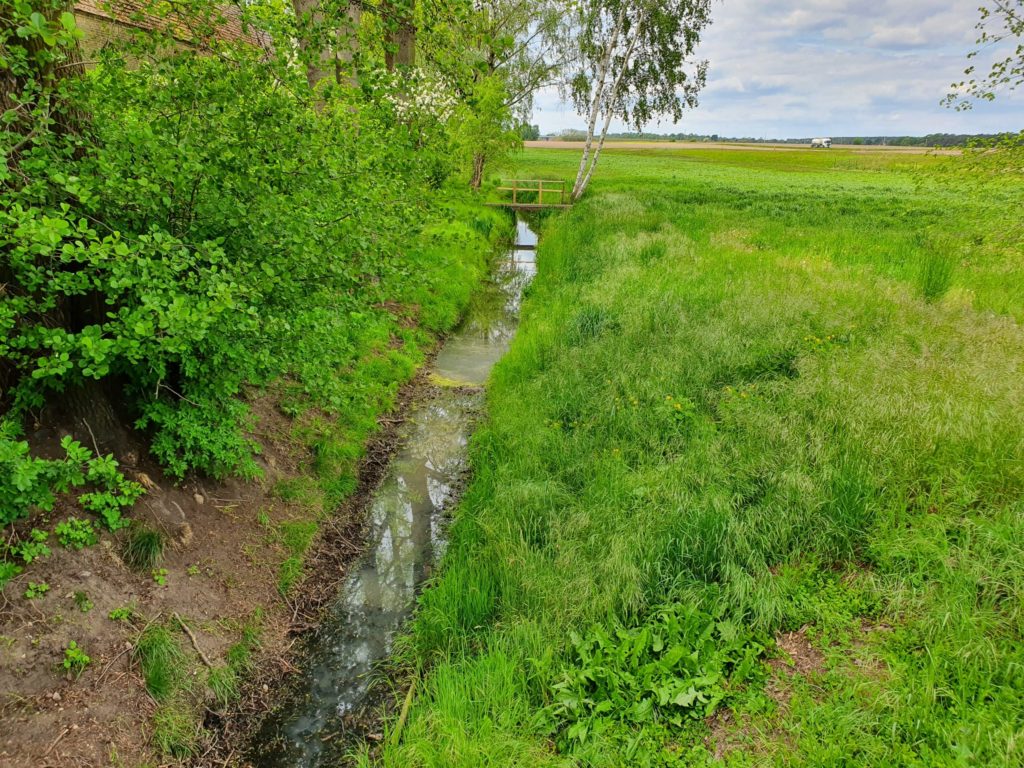 Nuthe bei Rohrbeck