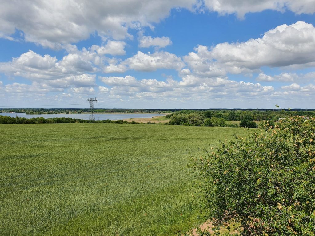 Blick vom Mühlenberg in Kirchmöser