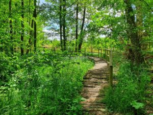 Streckenwanderung von Kirchmöser nach Brandenburg an der Havel @ Bahnhof Kirchmöser