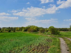 Wanderung zur Handweberei in Geltow @ Potsdam Bahnhof- Pirschheide