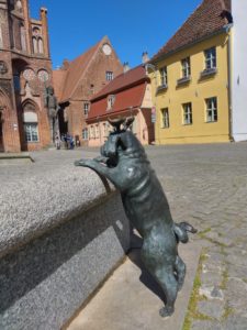 Stadtwanderung - Die "Wiege der Mark"- Brandenburg an der Havel @ Hauptbahnhof Brandenburg/Havel