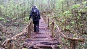 Die Glindower Alpen - Von Tonstechern, Handsteichern und Wanderzieglern geprägt @ Werder Bushaltestelle Holländermühle