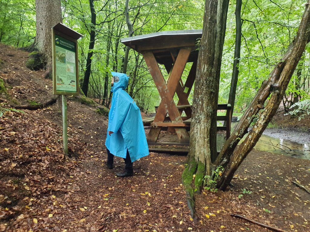 Radebachtal Rastplatz