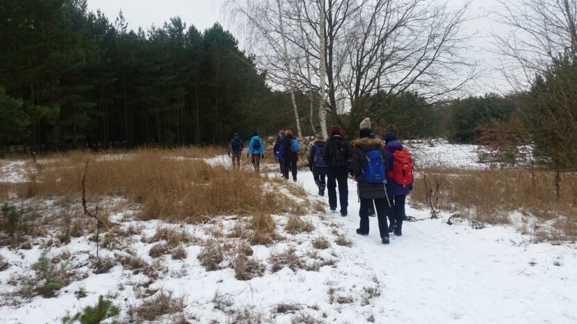 Winter in der Parforceheide