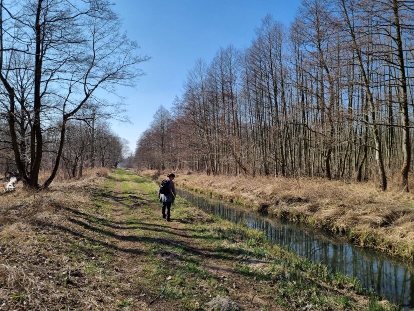 Siethener Elsbruchgraben