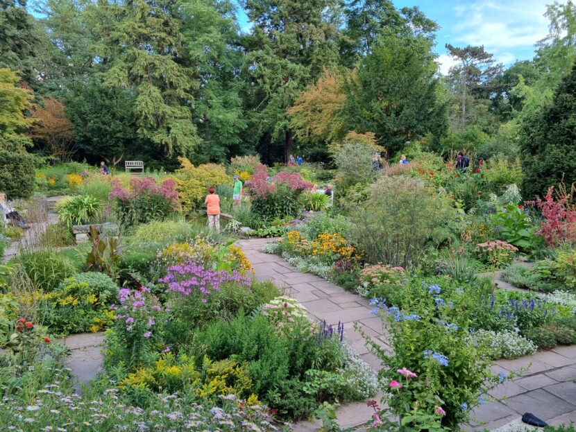 Karl-Foerster-Garten in Potsdam