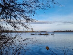 Tag des offenen Ateliers-Wanderung nach Caputh @ Potsdam Bahnhof-Pirschheide