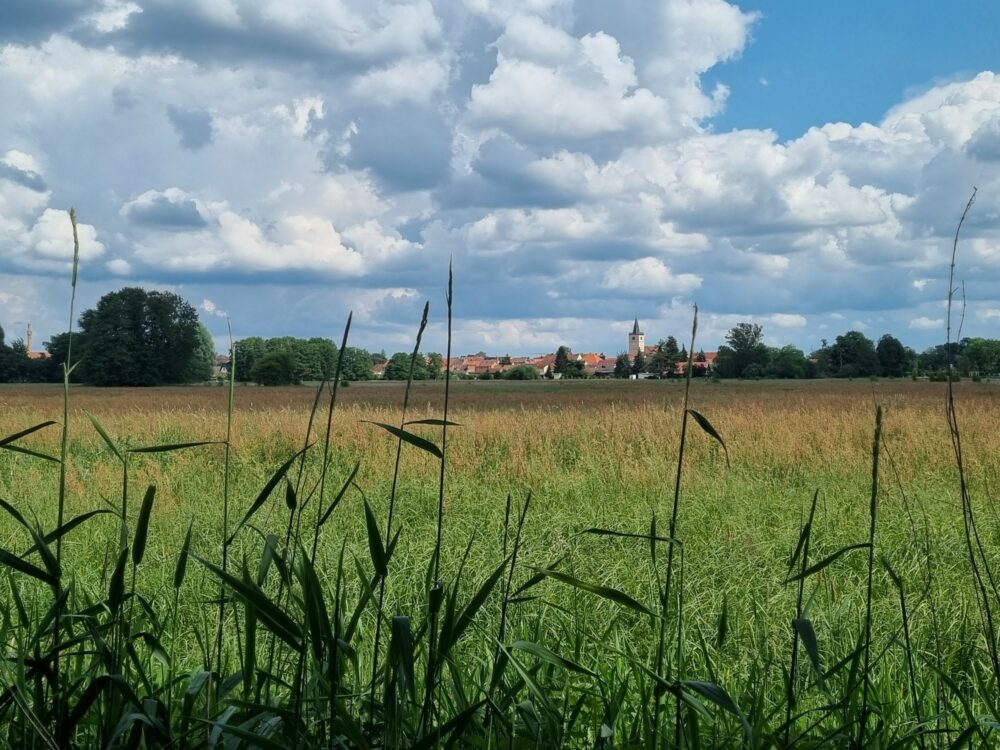 Blick auf Beelitz