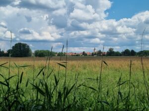 Wanderung in und um die Spargelstadt Beelitz @ Bahnhof Beelitz Stadt